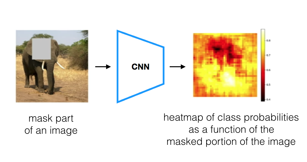 Occlusion experiment with an image of an elephant.